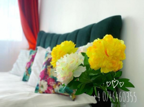 Red Hotel Accommodation Cluj-Napoca